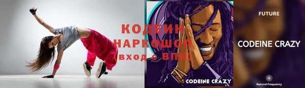соль ск Вяземский