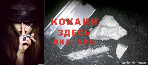 соль ск Вяземский