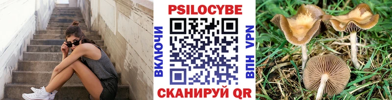 Купить закладки  Надым  Галлюциногенные грибы прущие грибы 